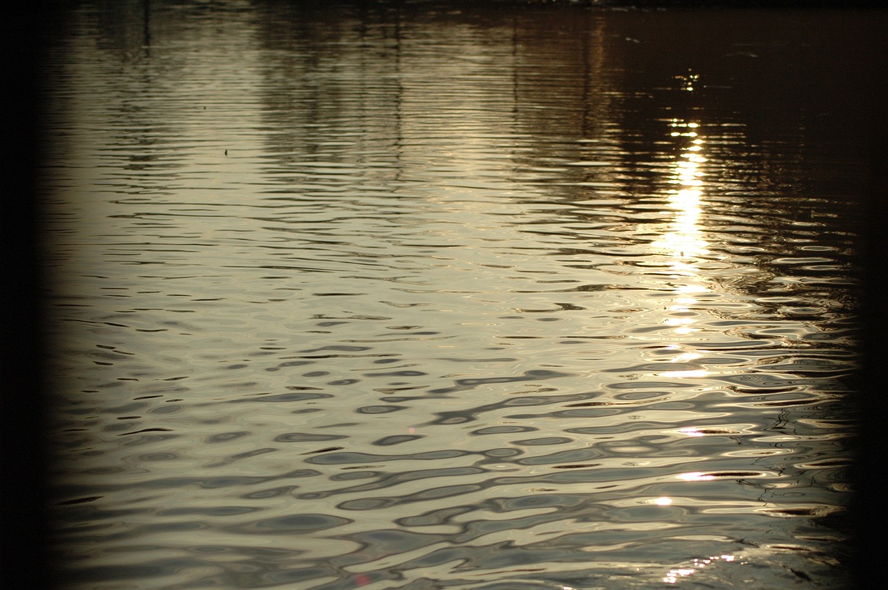 water  waves  pond free photo