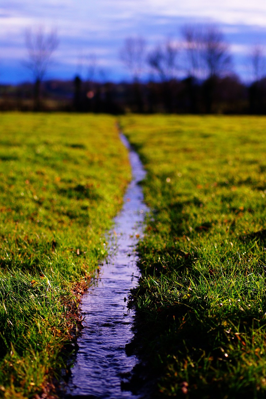 water  meadows  pre free photo