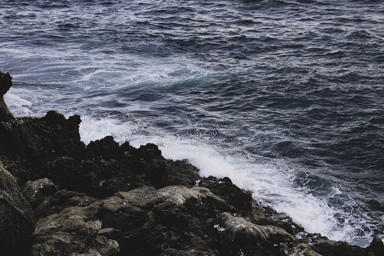 water  sea  beach free photo