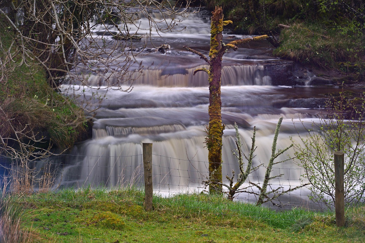 water  waterfall  river free photo