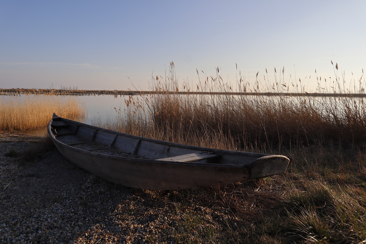 water  lake  boat free photo