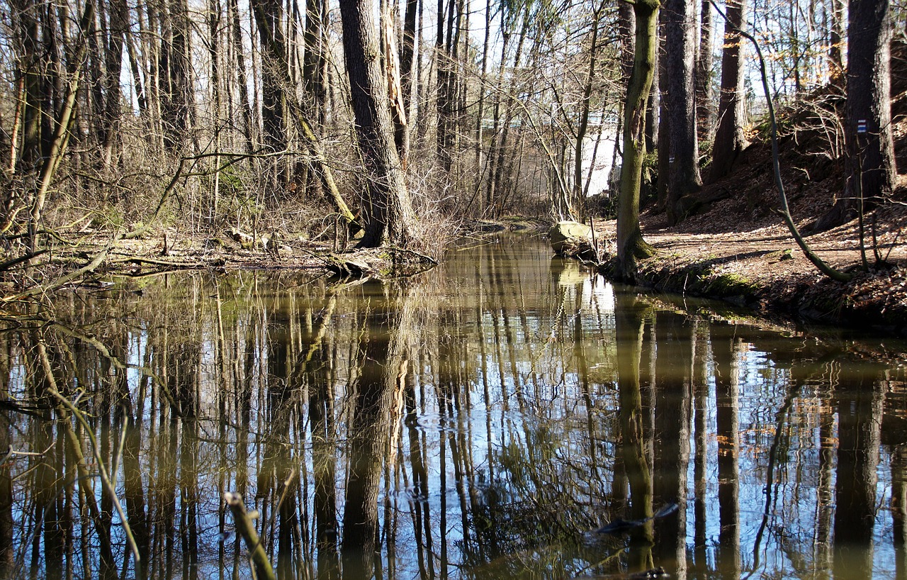 water  tributary  stream free photo