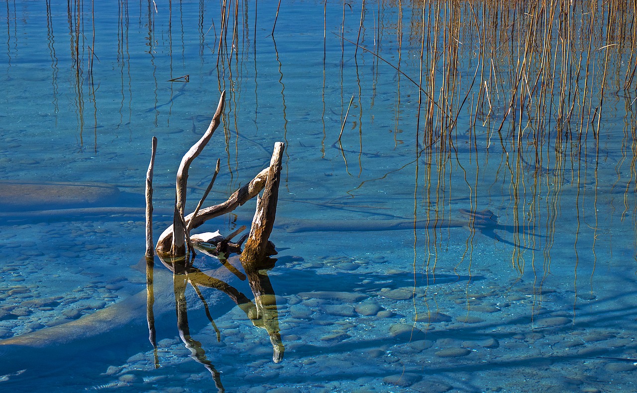 water  clear  lake free photo