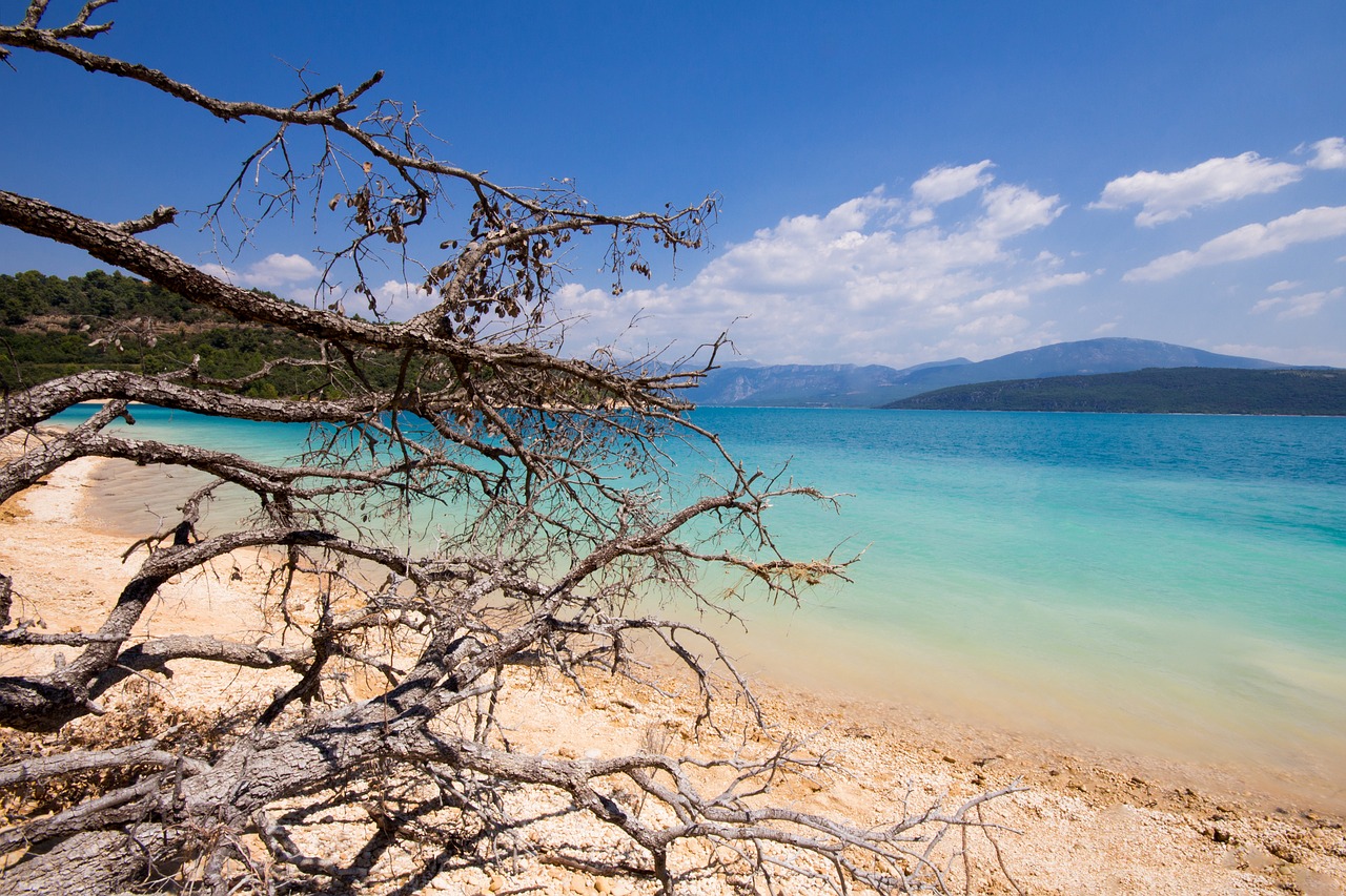 water  beach  summer free photo