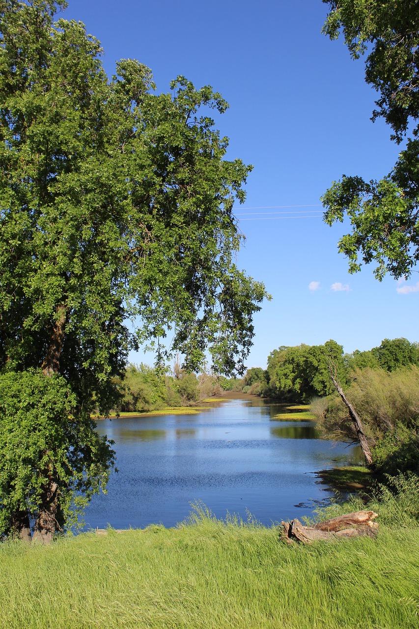 water  spring  river free photo