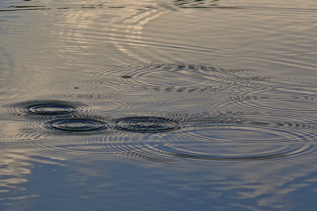 water  lake  raindrop free photo