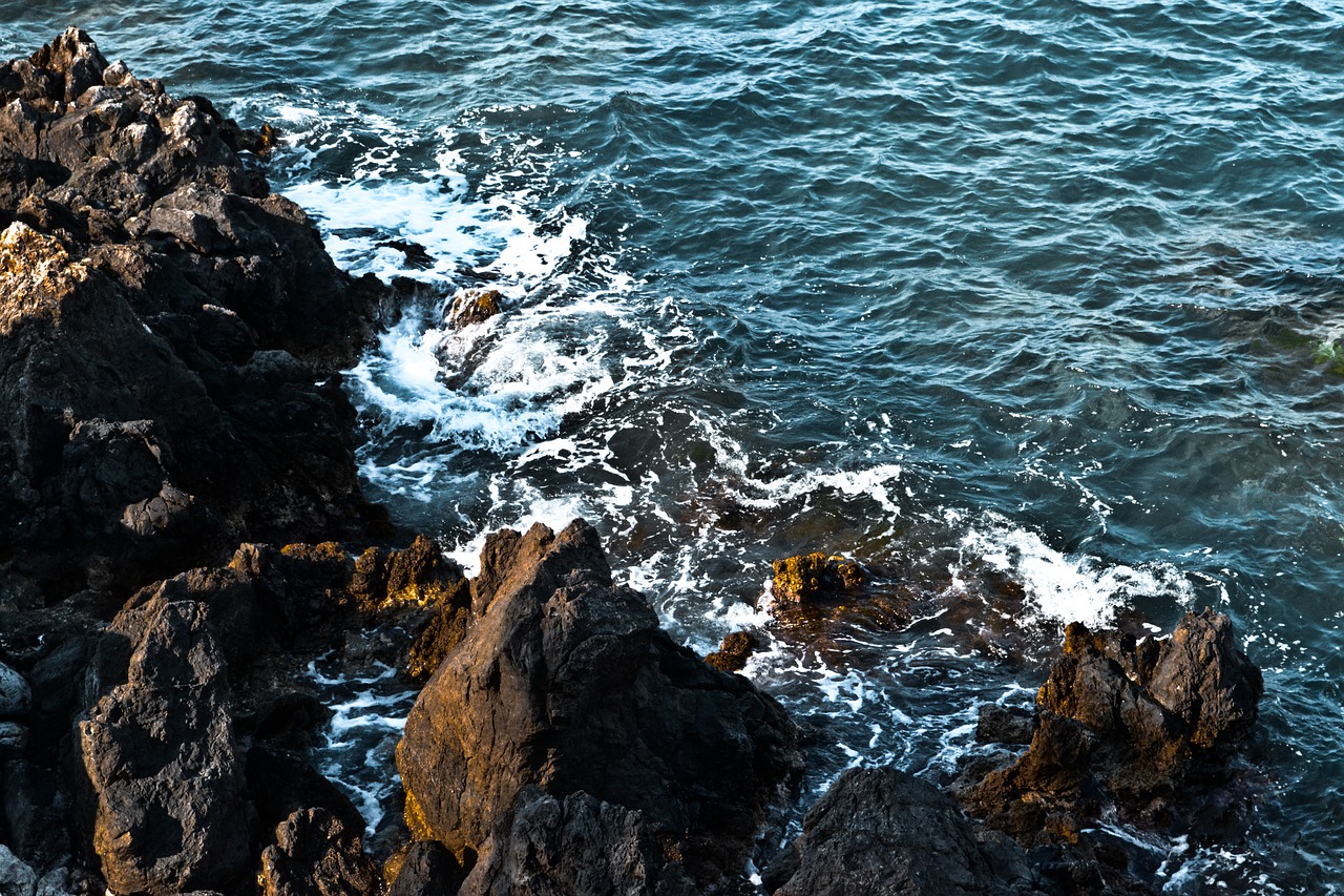 water  rock  rocks free photo