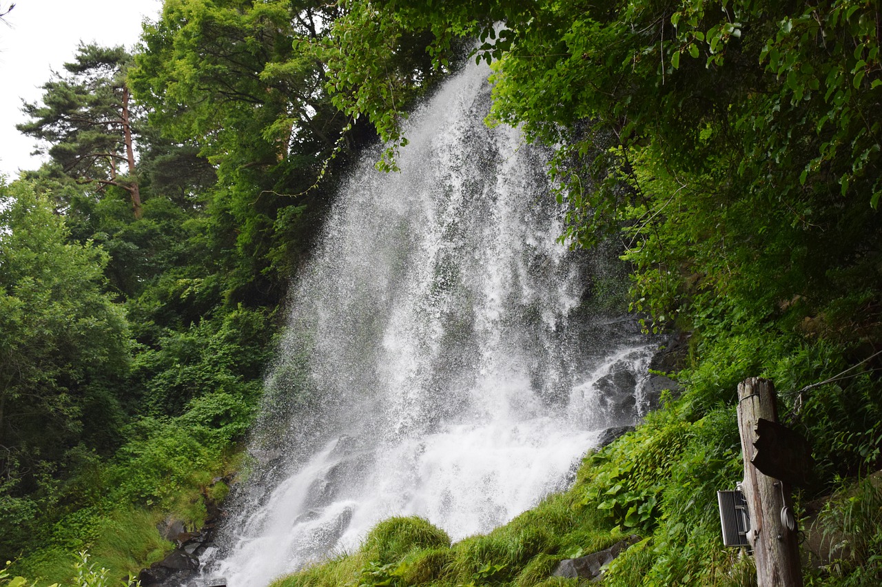 water  waterfall  water flow free photo