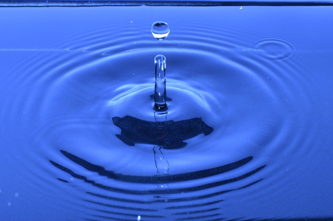 water  drip  drop of water free photo