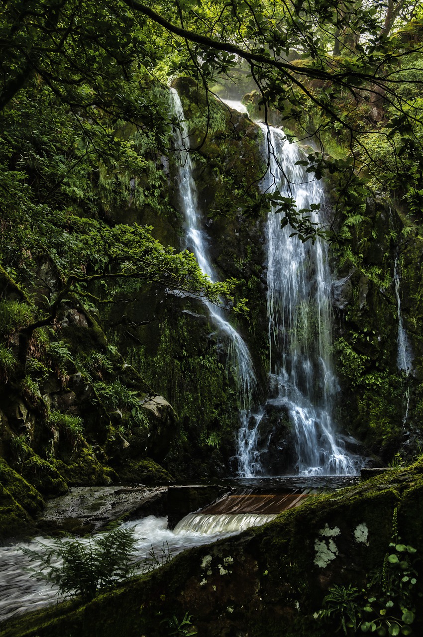 water  falls  woodland free photo