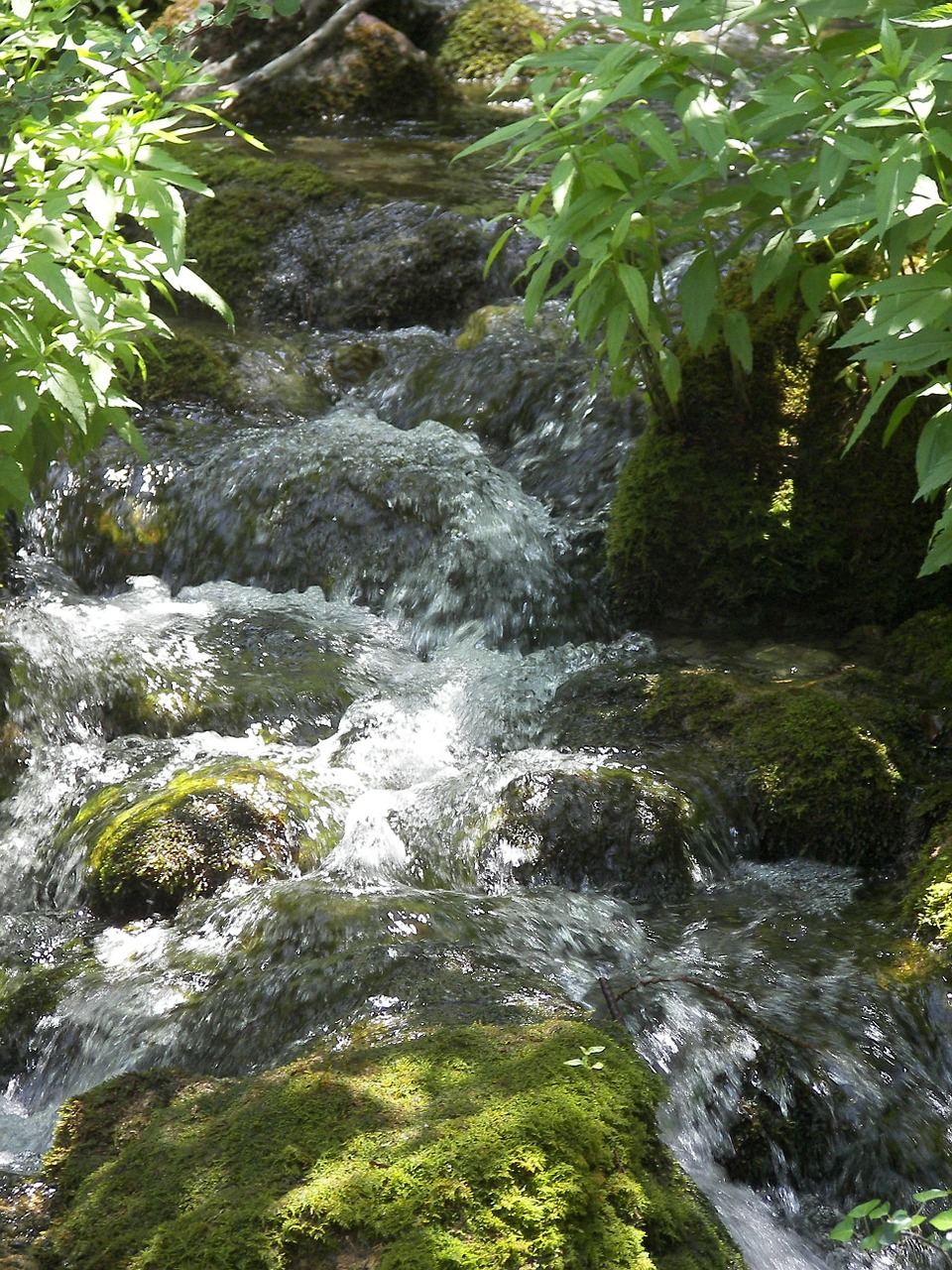 water river nature free photo