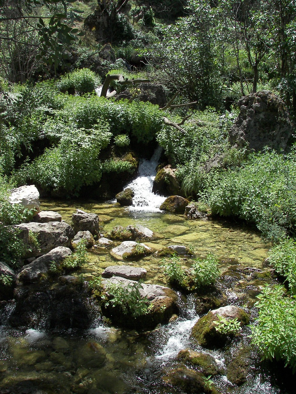 water river nature free photo