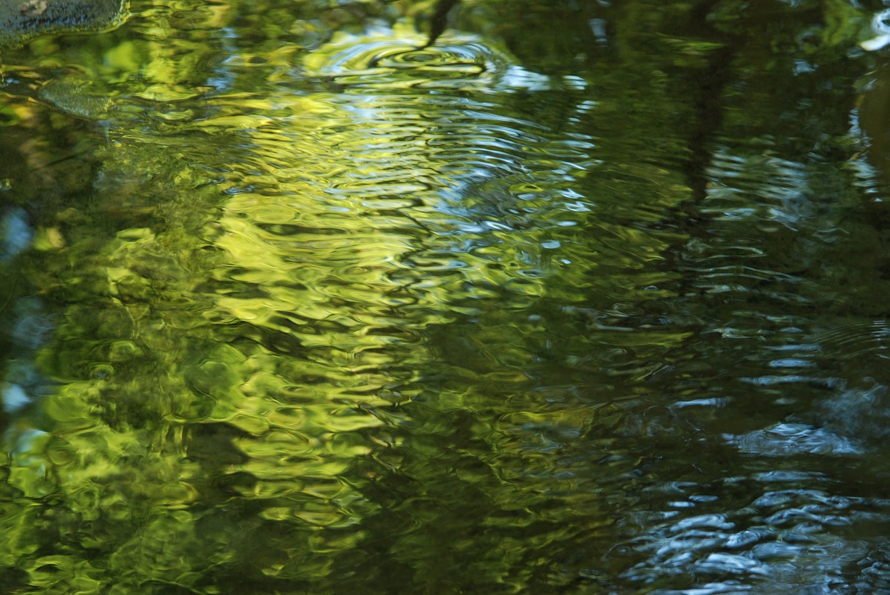 water reflection green free photo