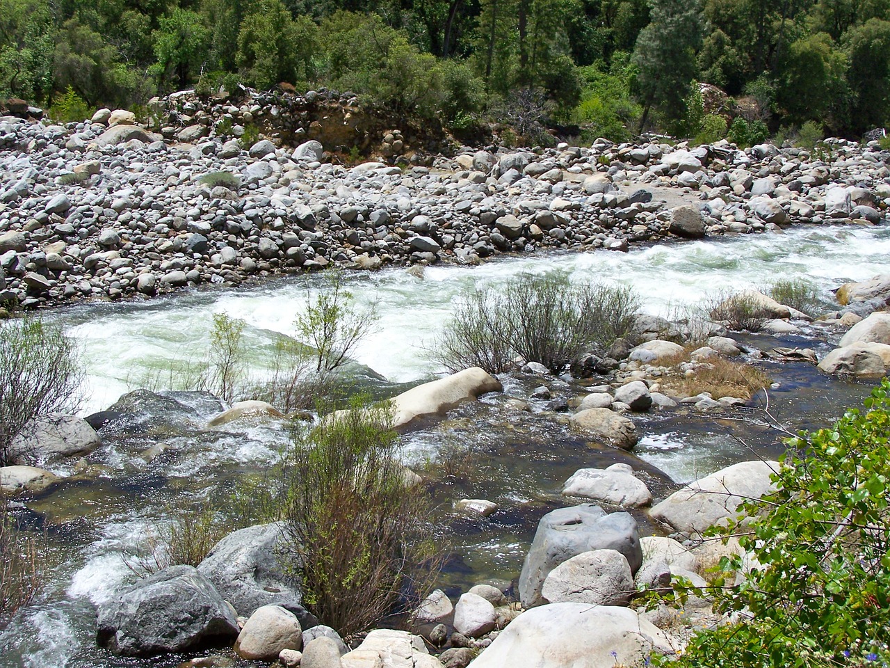 water river stream free photo