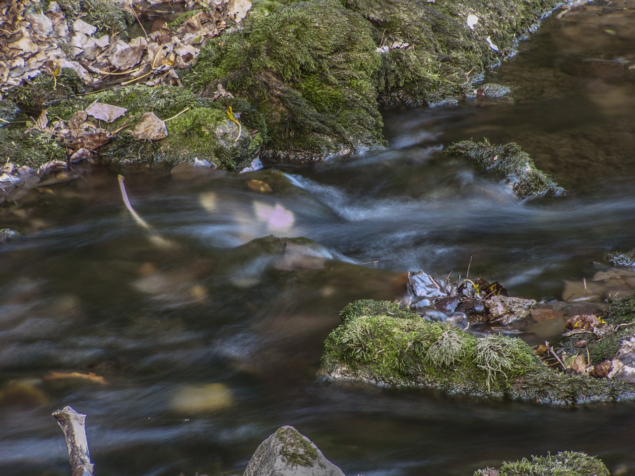 water danube river free photo