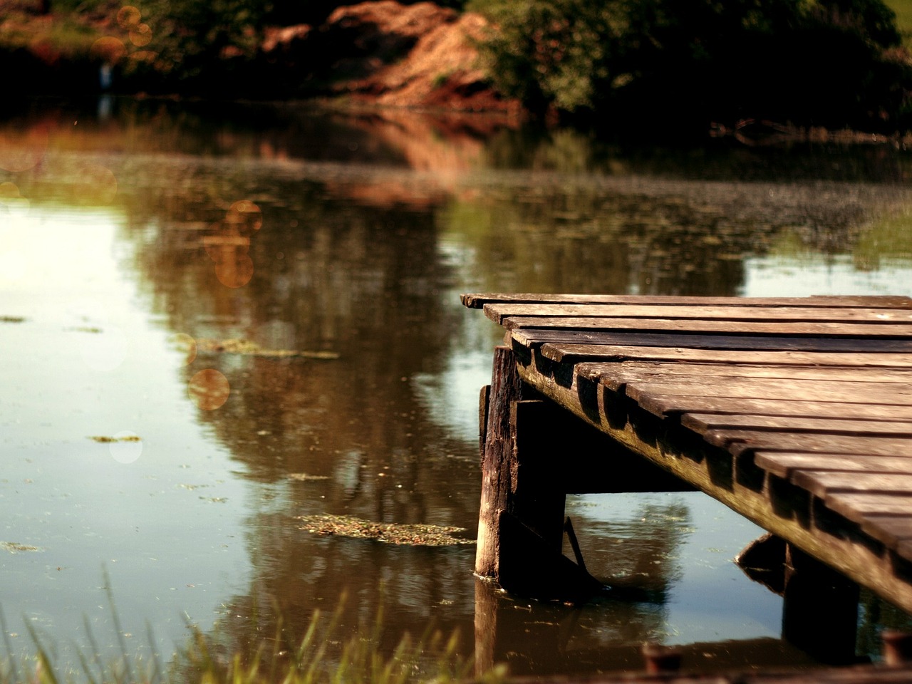 watter molo bridge free photo