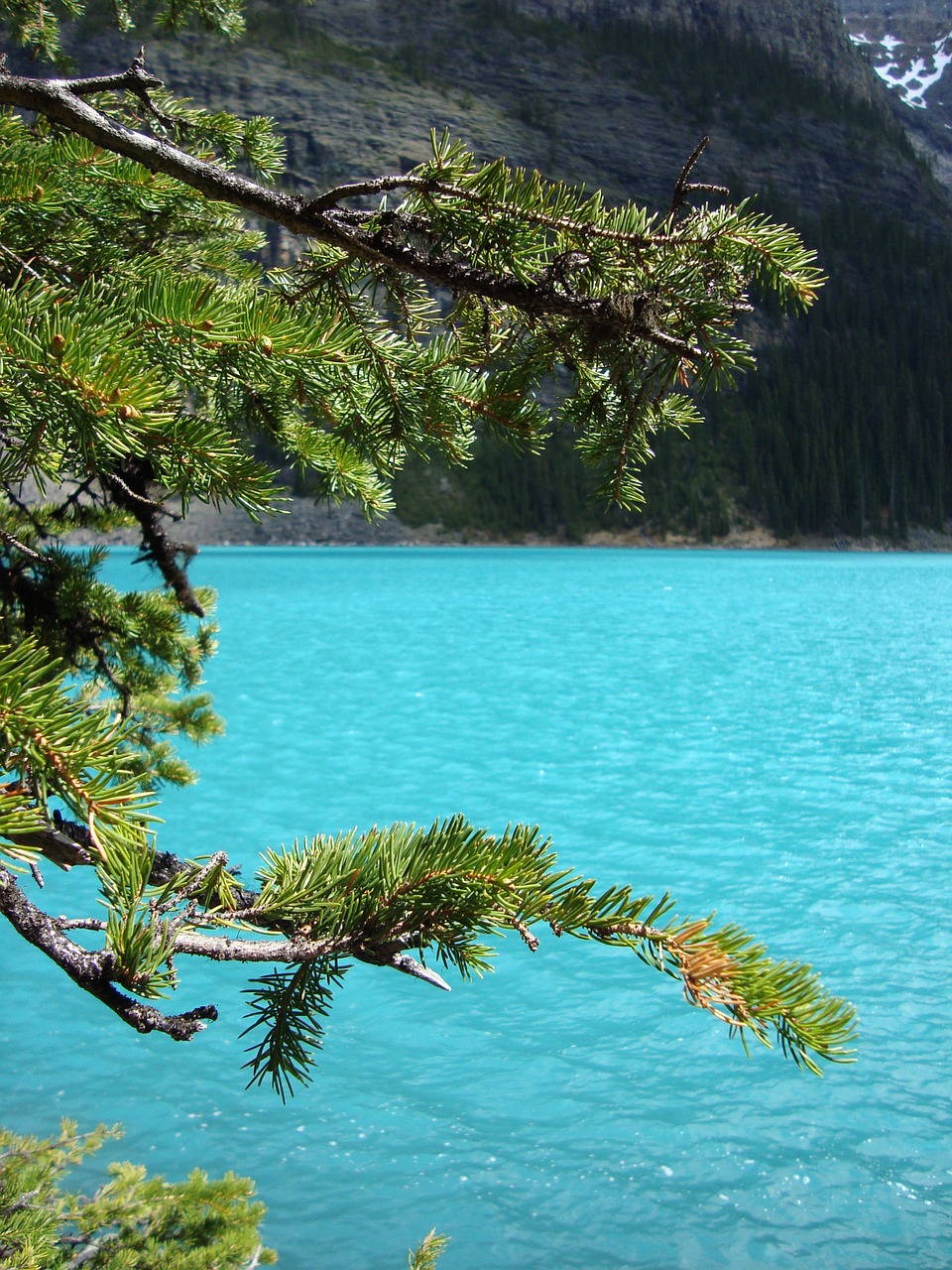 water blue canada free photo