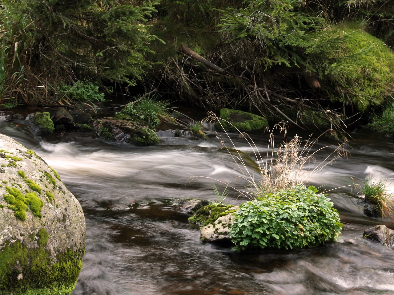 water stone grass free photo