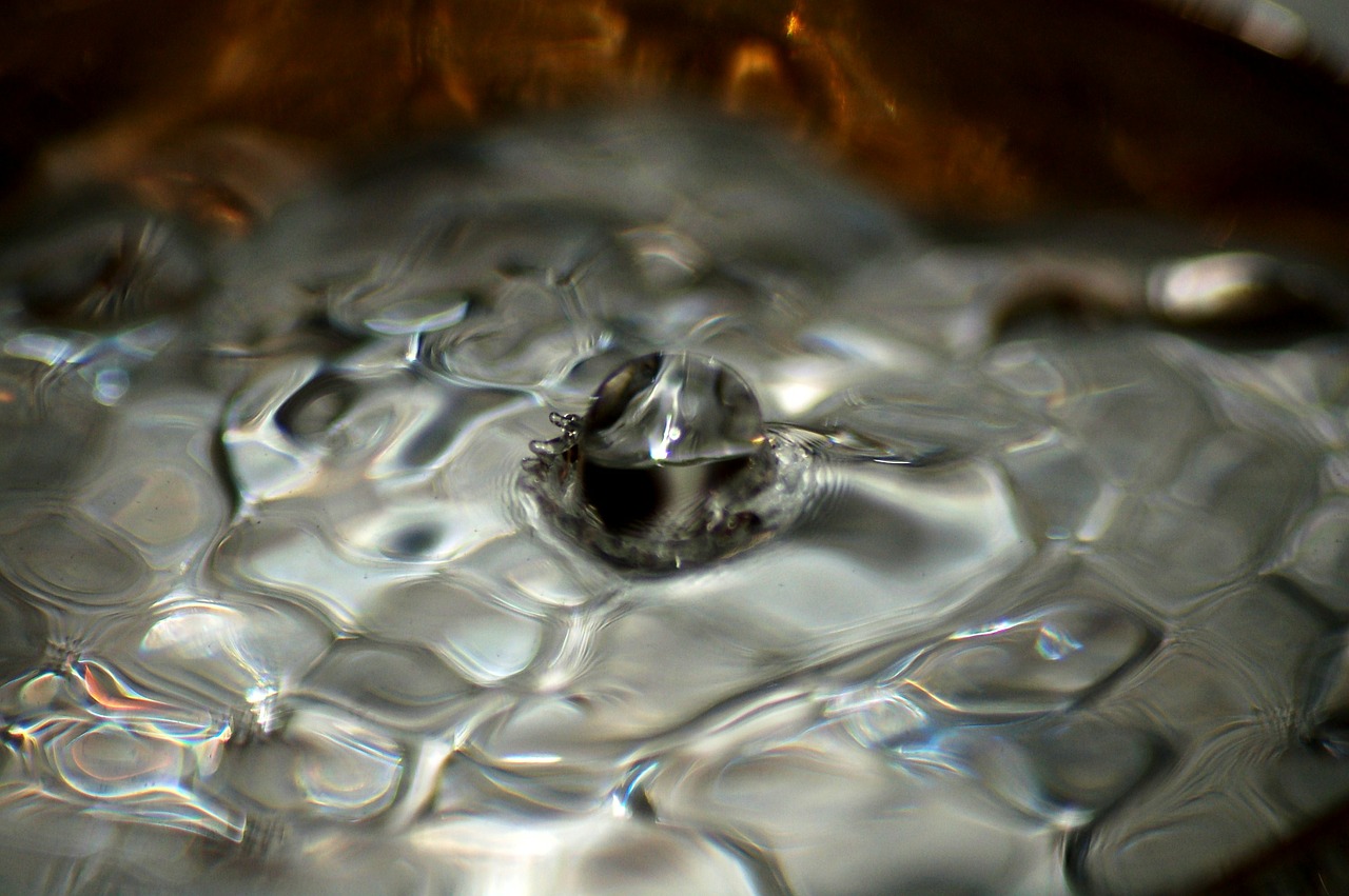 water drop waterdrop free photo