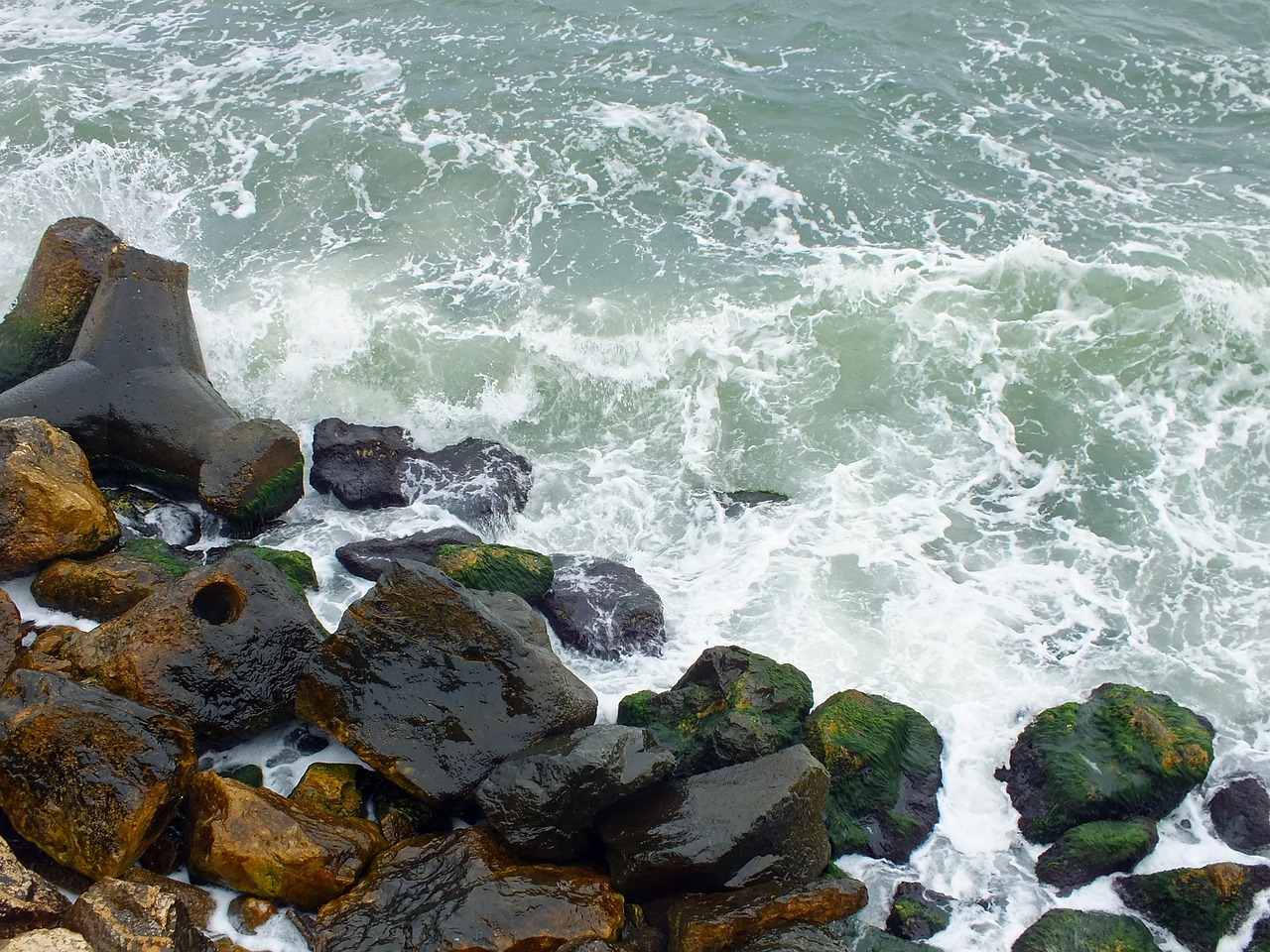 water sea rocks free photo