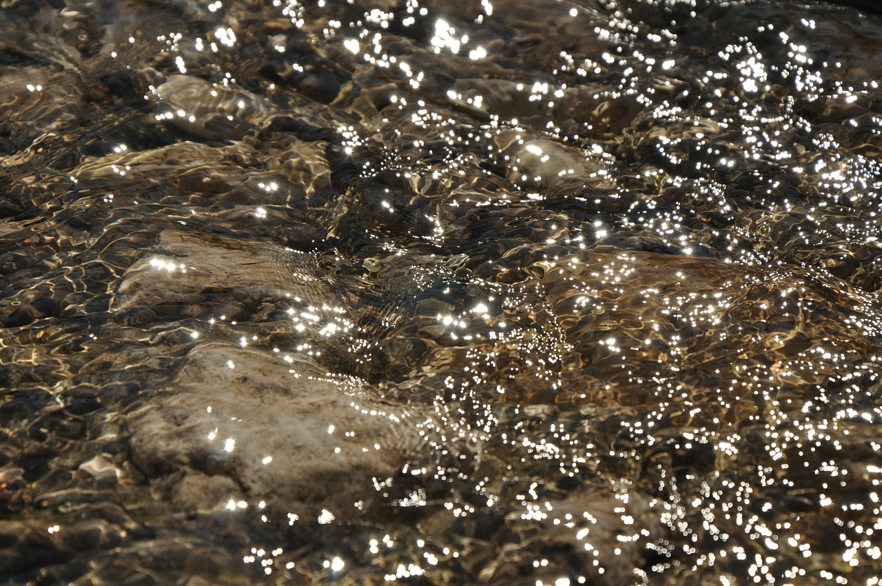 water stream river free photo