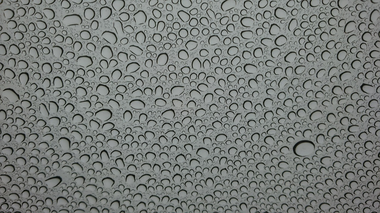 water drops rain free photo