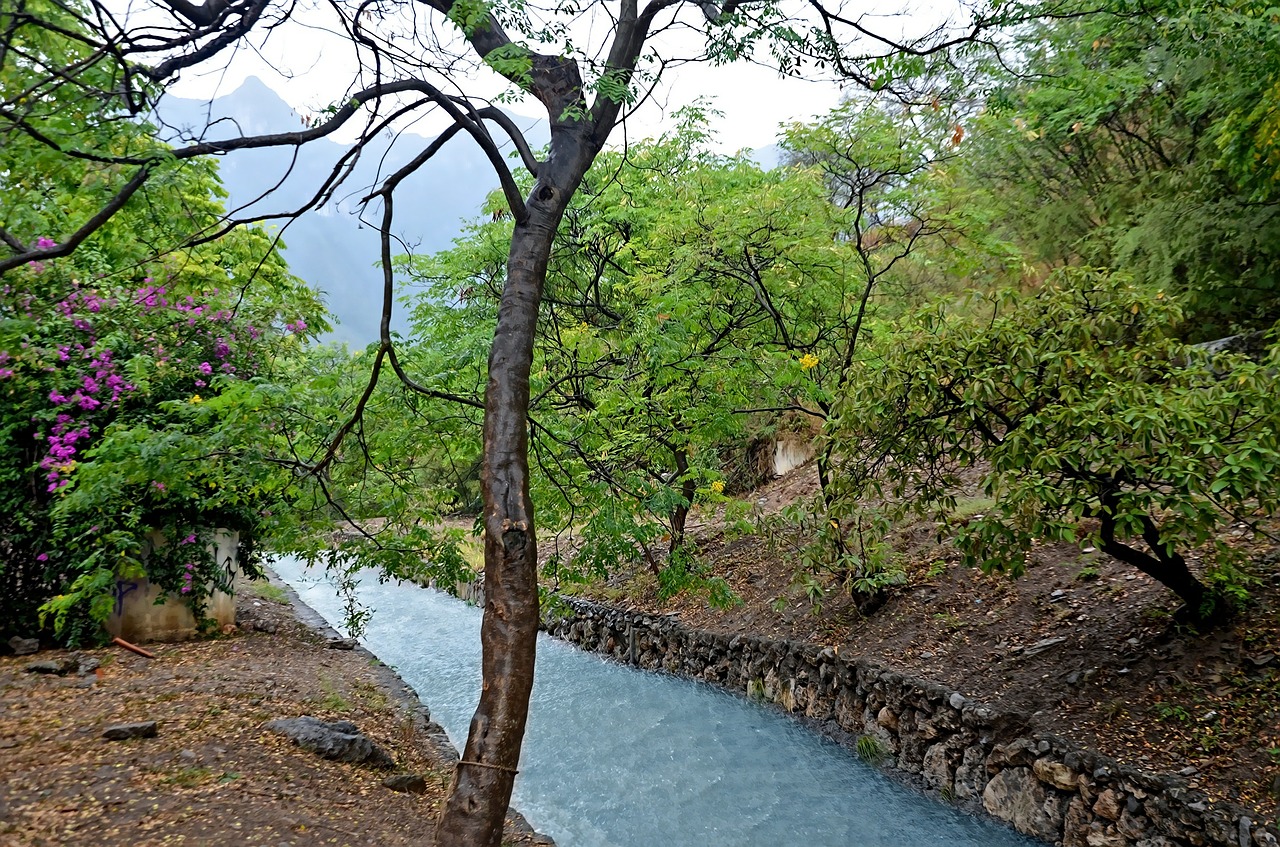 water river nature free photo