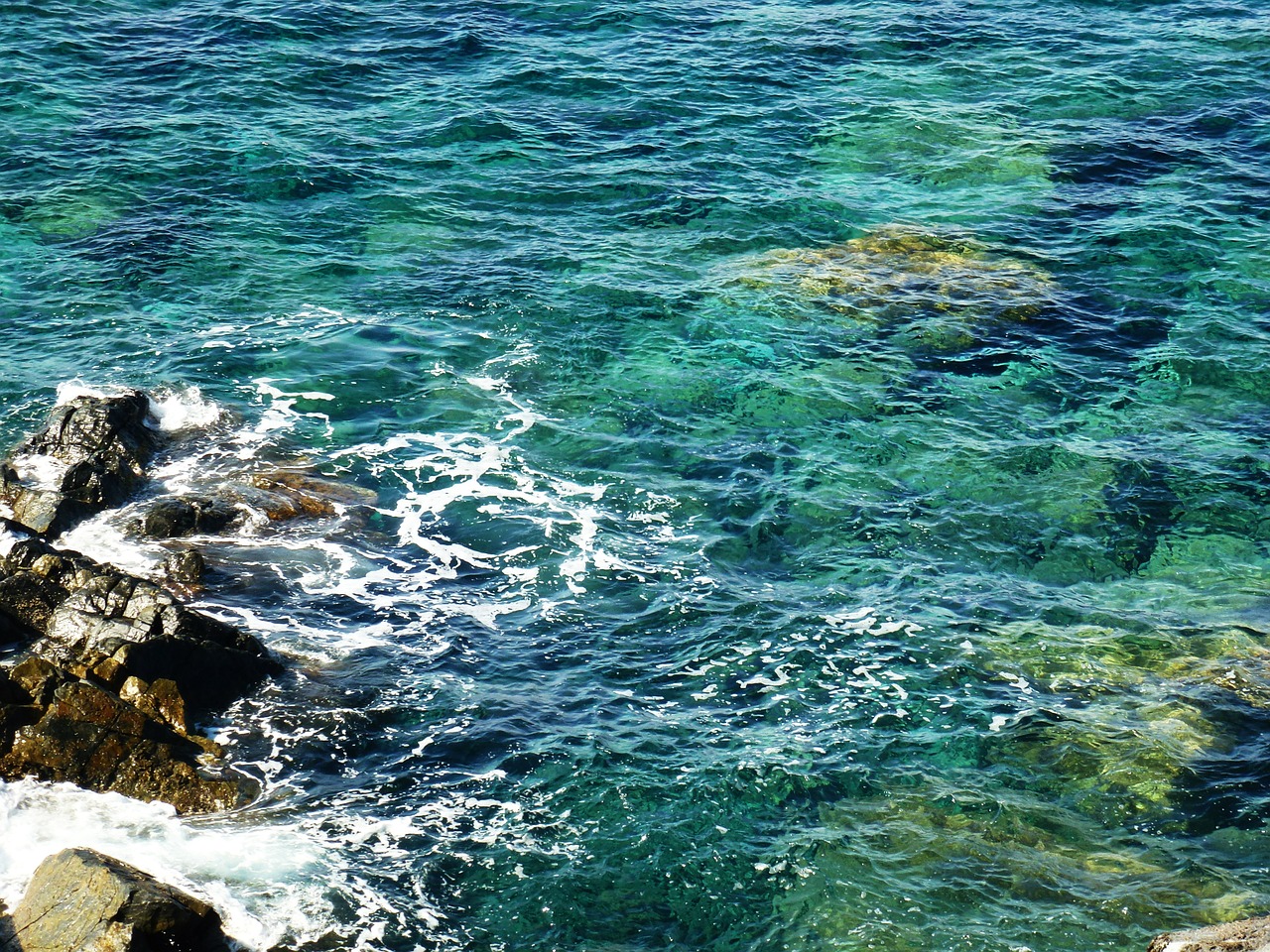 water sea transparent free photo