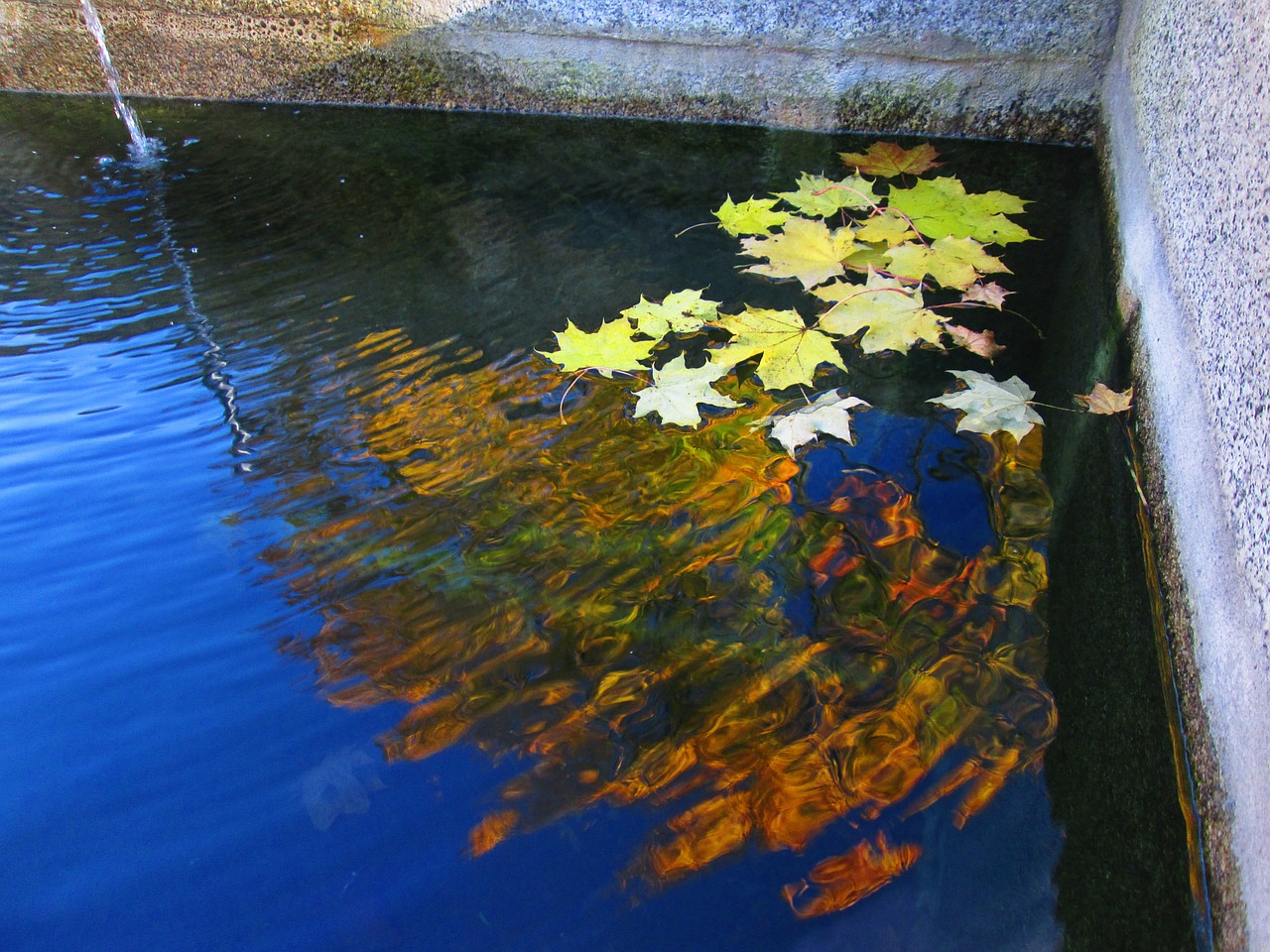 water color south bohemia free photo