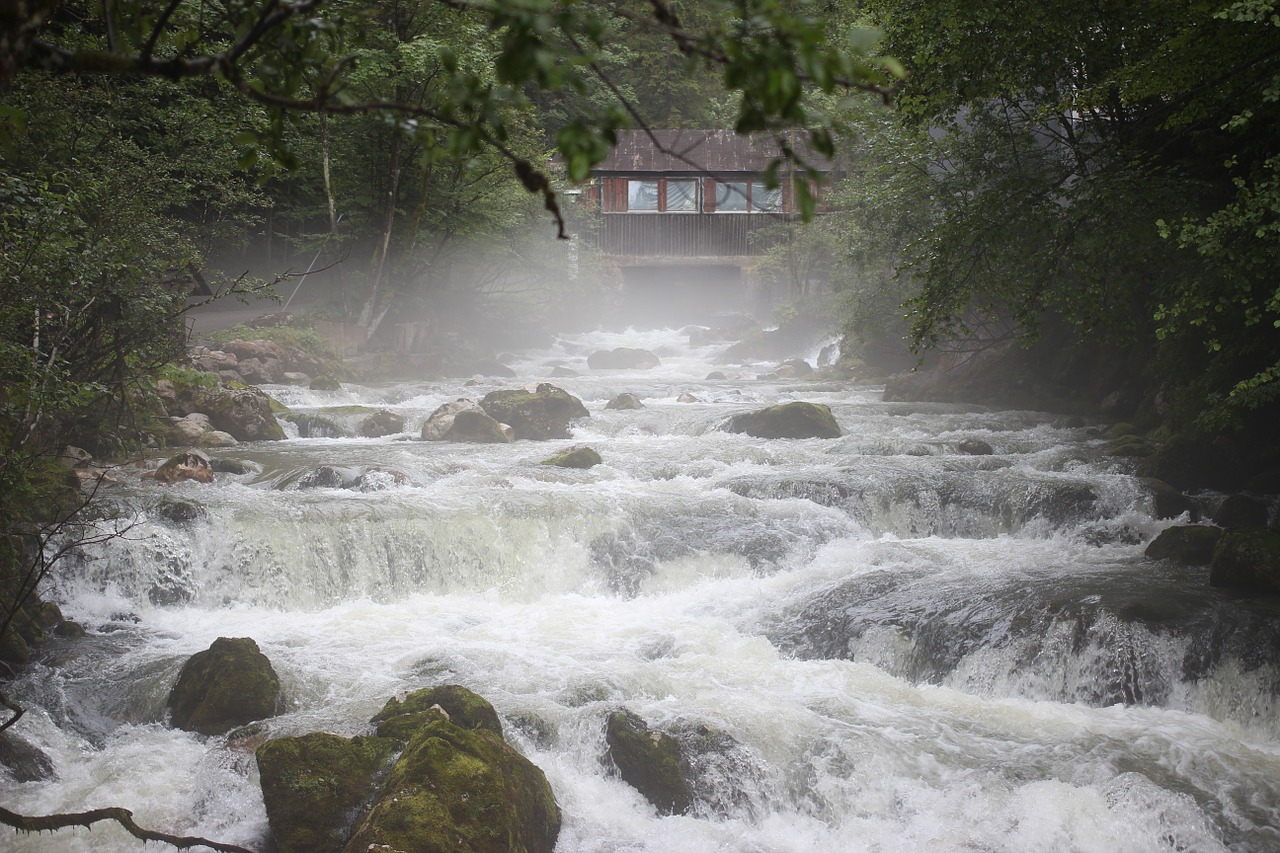 water river fog free photo