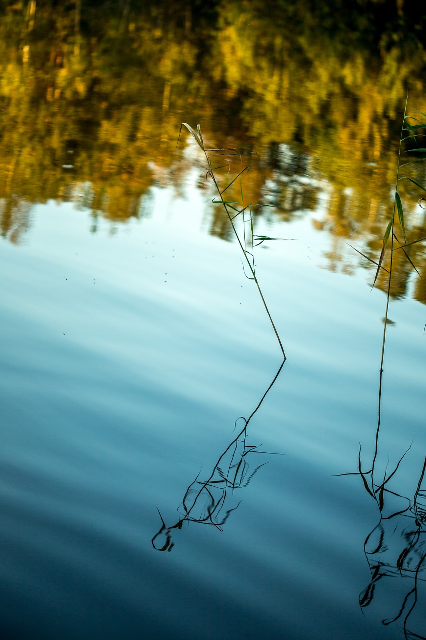 water lake hay free photo