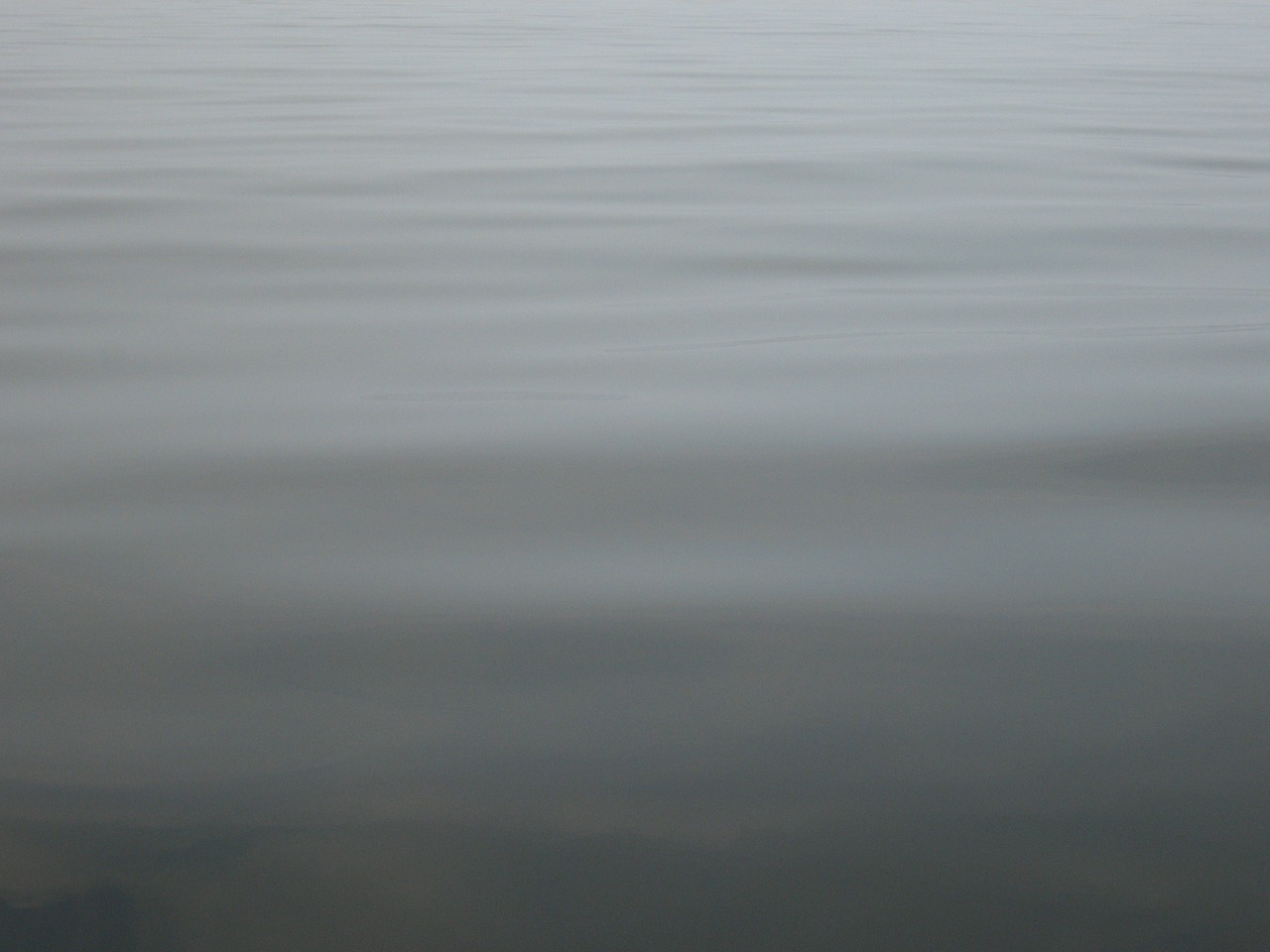 water ripple sea free photo