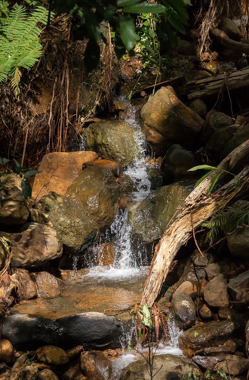 water stream creek free photo