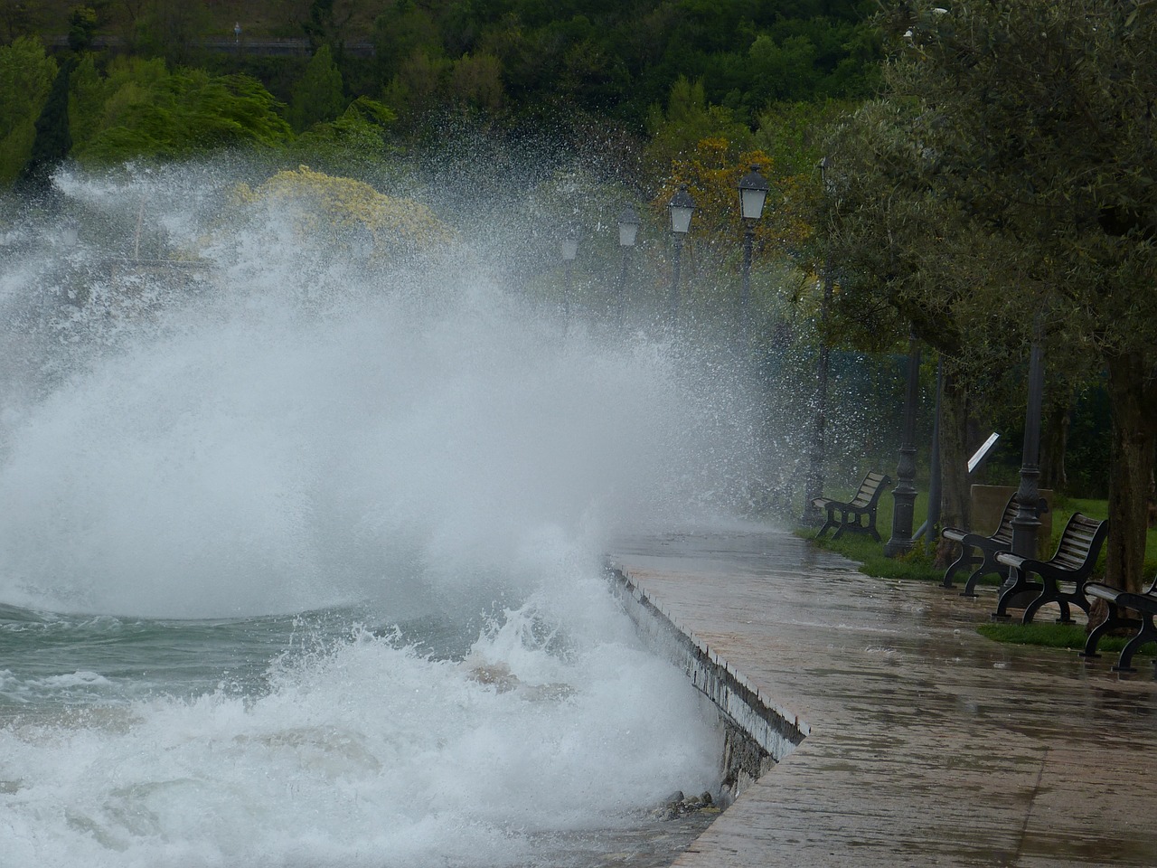 water web wave free photo