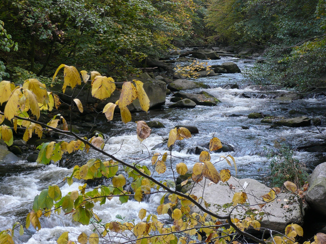 water fall color mountain stream free photo