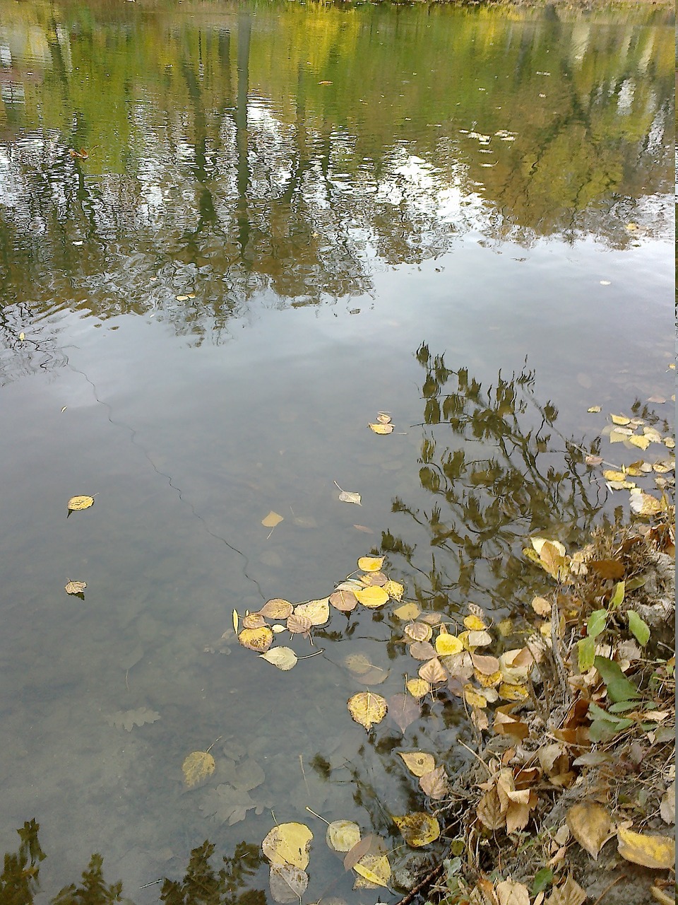 water pond autumn free photo