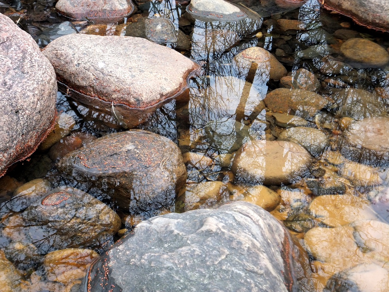 water reflection stones free photo