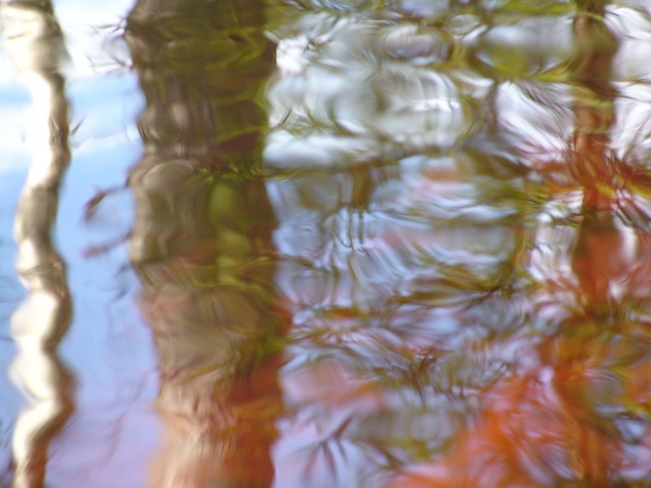 water water surface reflexion free photo