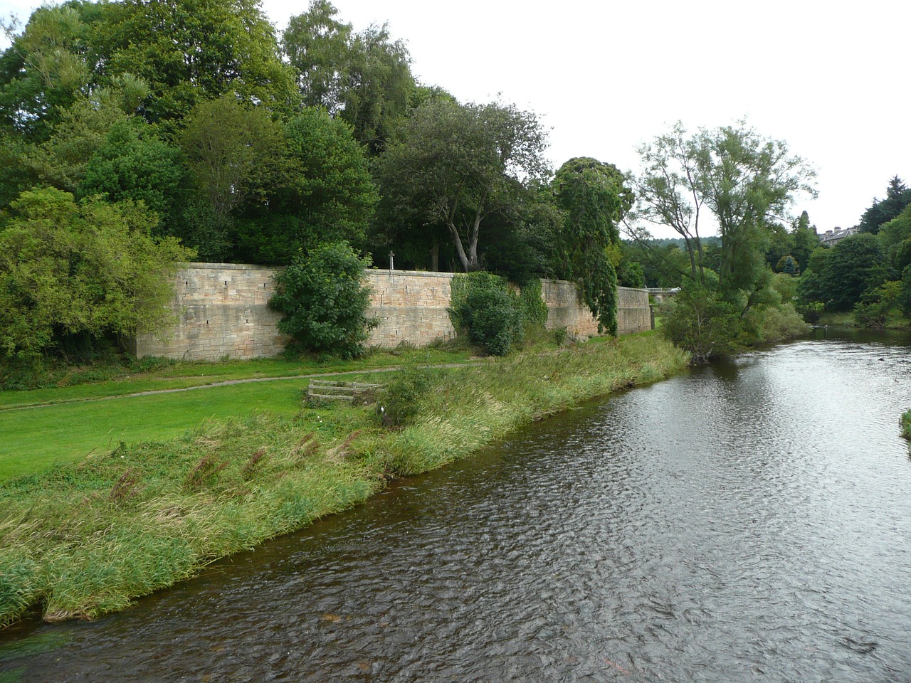 water river nature free photo