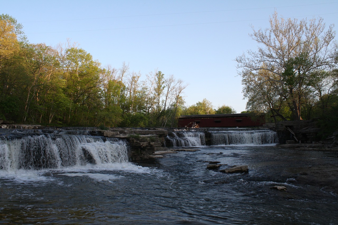 water woods nature free photo