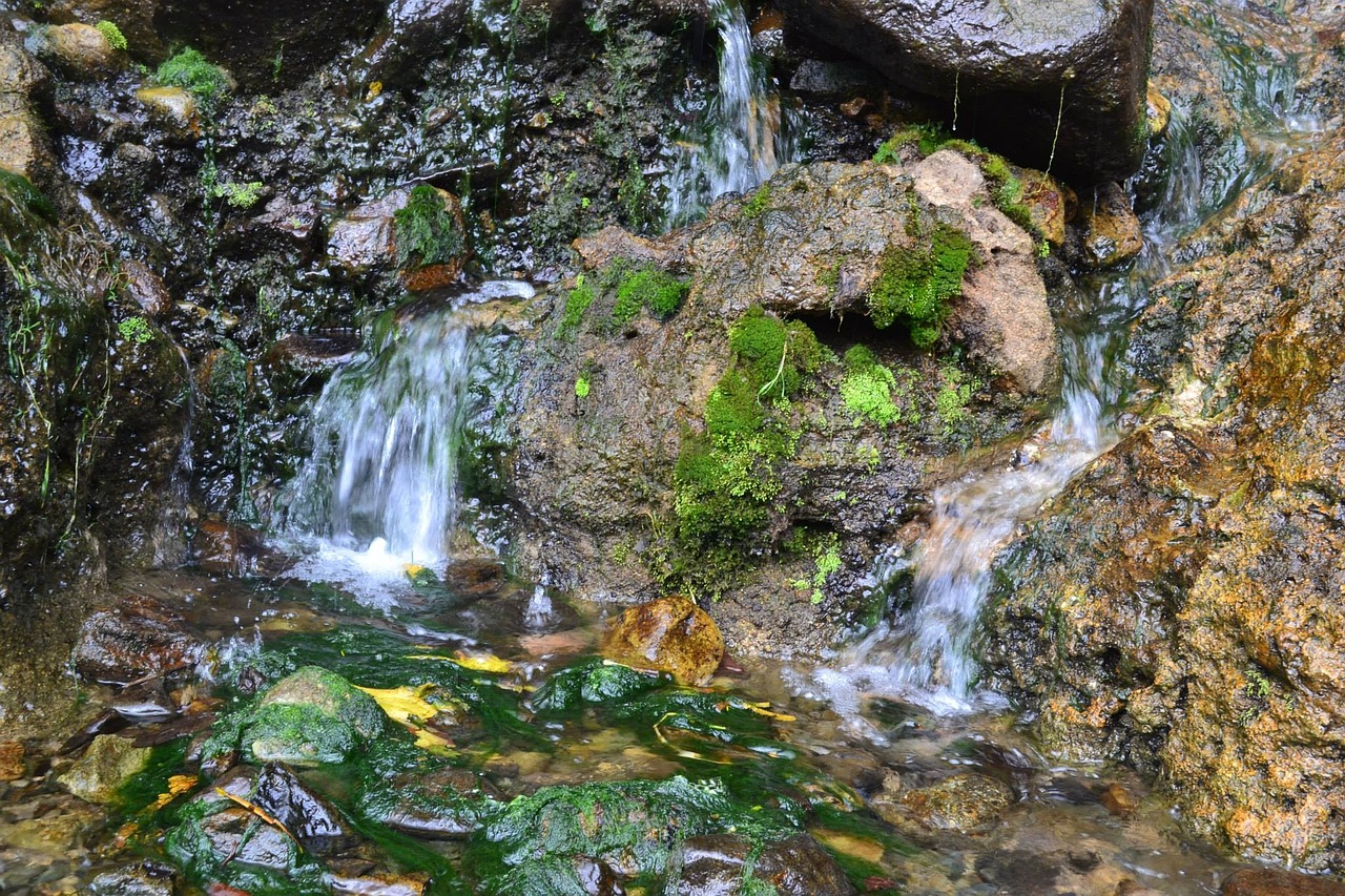 water nature waterfall free photo