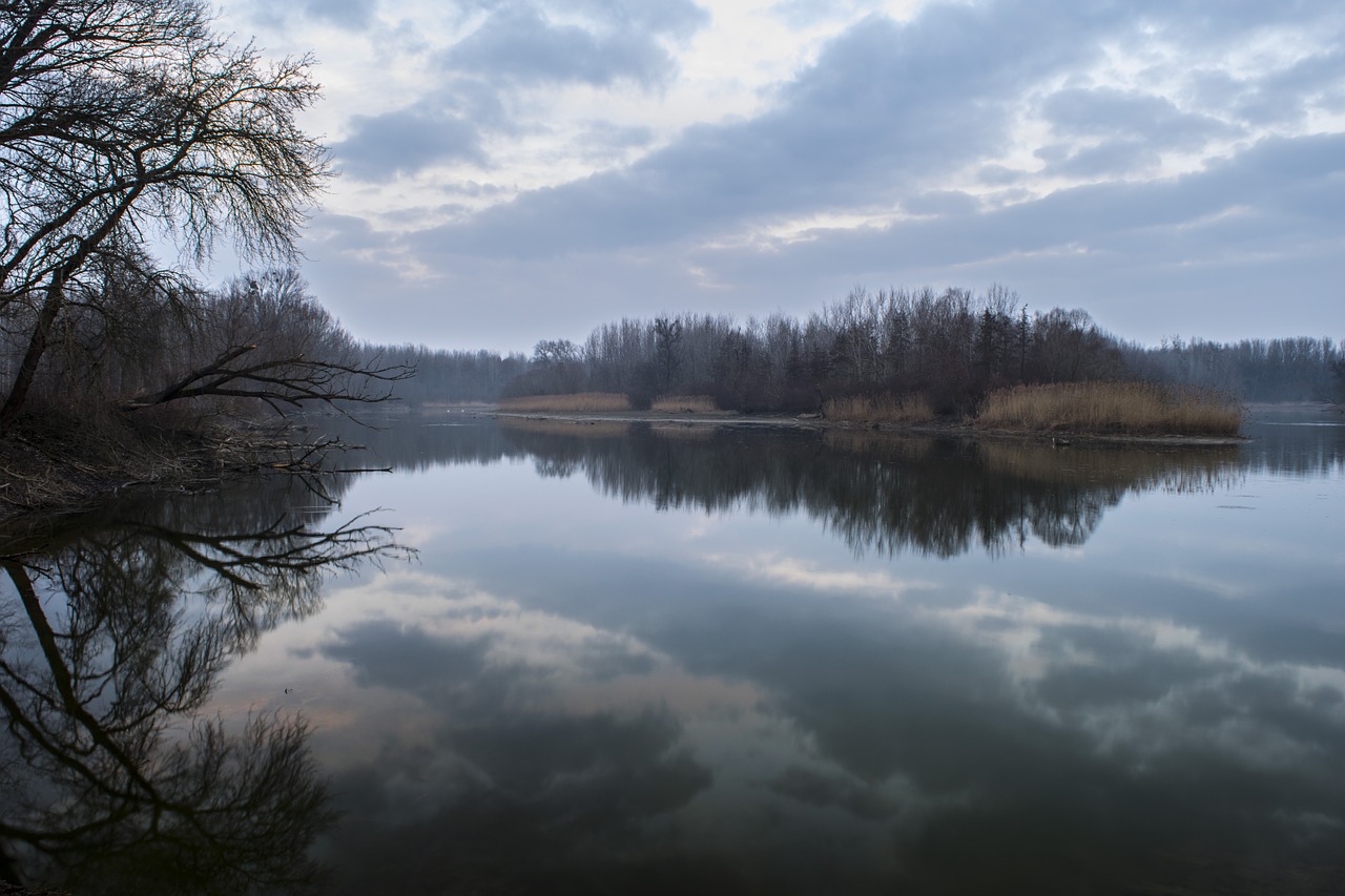 water water surface nature free photo