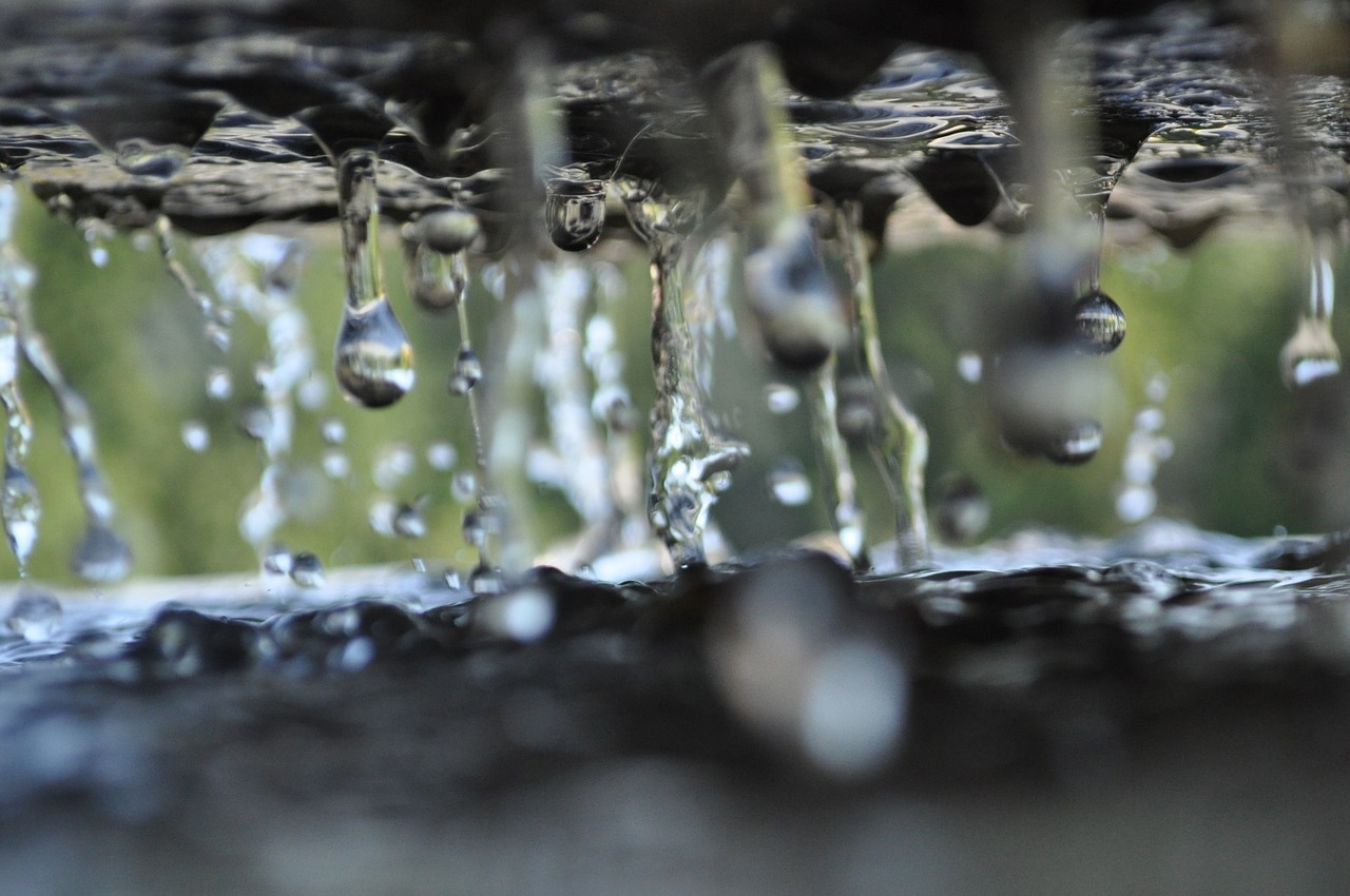 water drops wet free photo