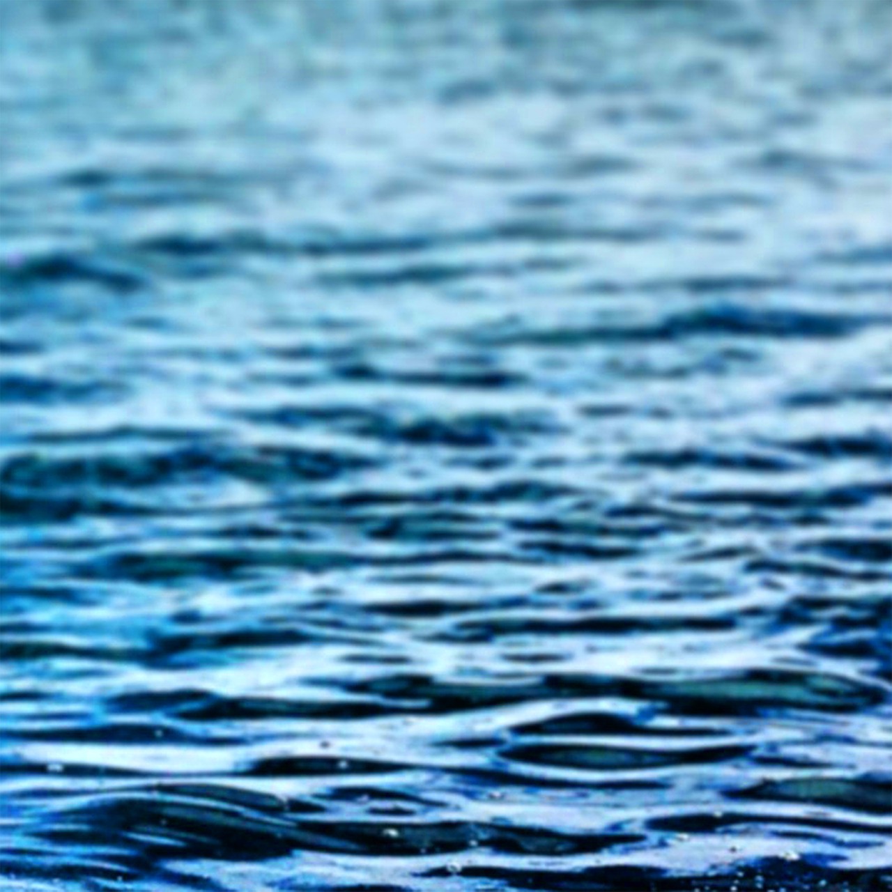 water sea blue free photo