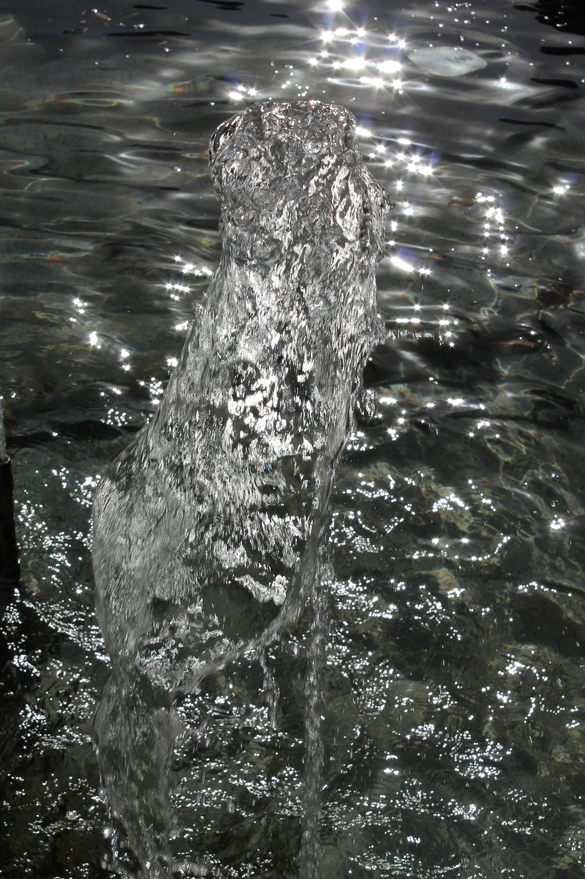 Water,day,slow motion,free pictures, free photos - free image from