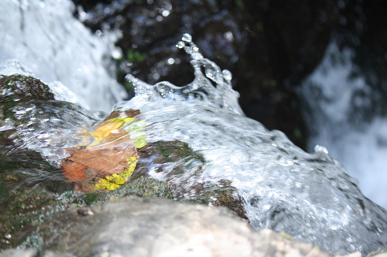 water nature river free photo