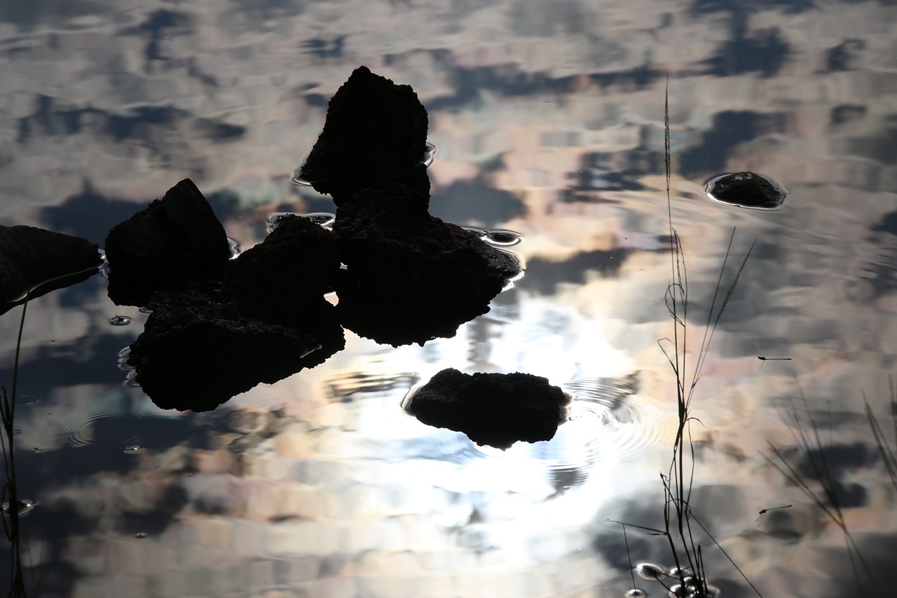 water reflection close-up free photo