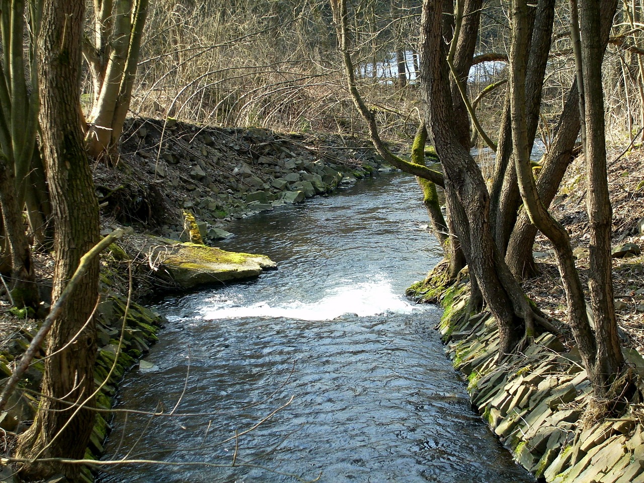 water bach water running free photo