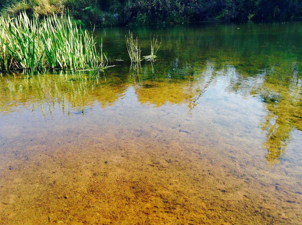 water pond reflection free photo