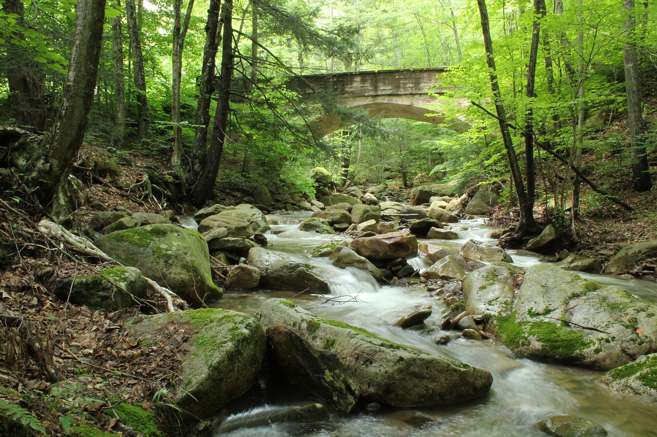 water stream bridge free photo